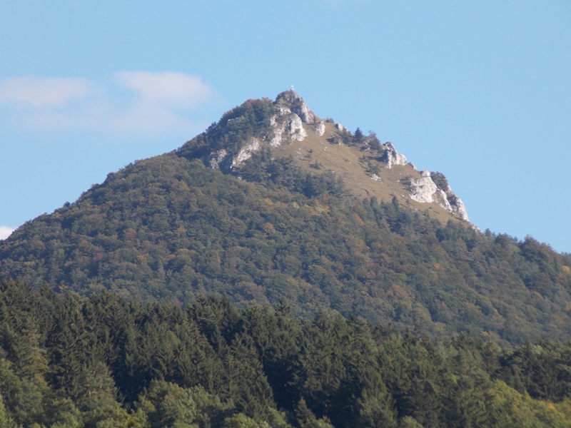 DSCN3566