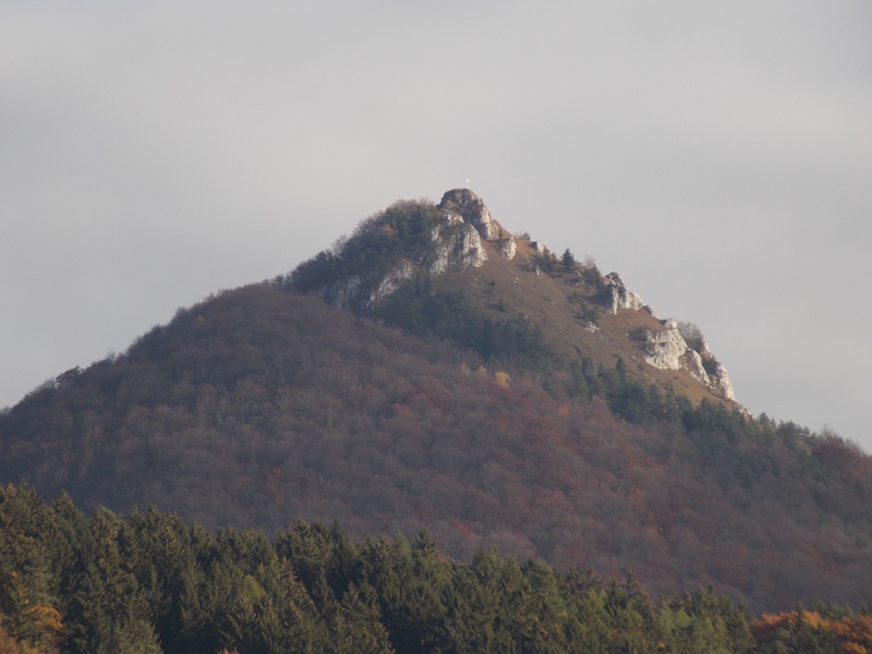 DSCN4432