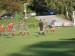 DSCN3647